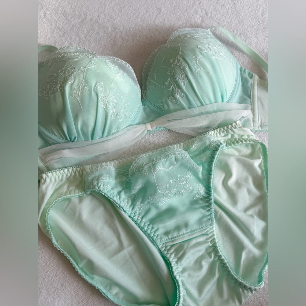 Sold Out! SANRIO Pochacco Japanese Authentic Limited Embroidery Bra Panty Set